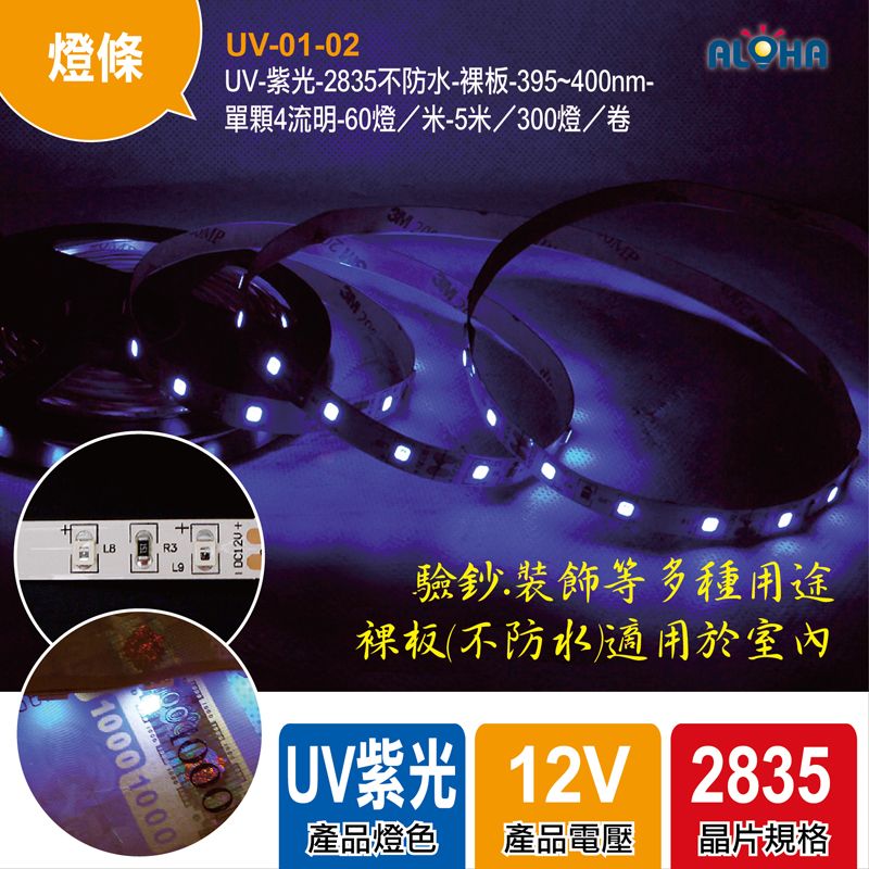 UV-紫光-2835不防水-裸板-395~400nm-單顆4流明-60燈／米-5米／300燈／卷